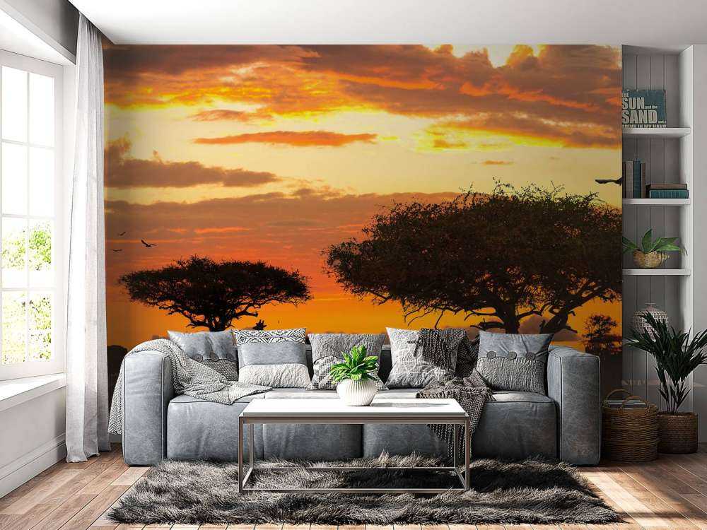 Safari in Afrika bij zonsondergang