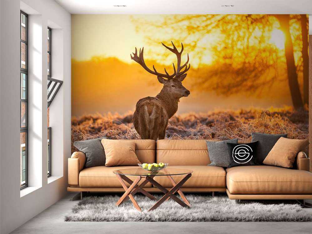 Hert met Zonsondergang