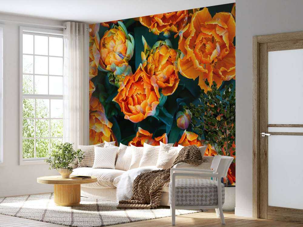 Close-up oranje tulpen