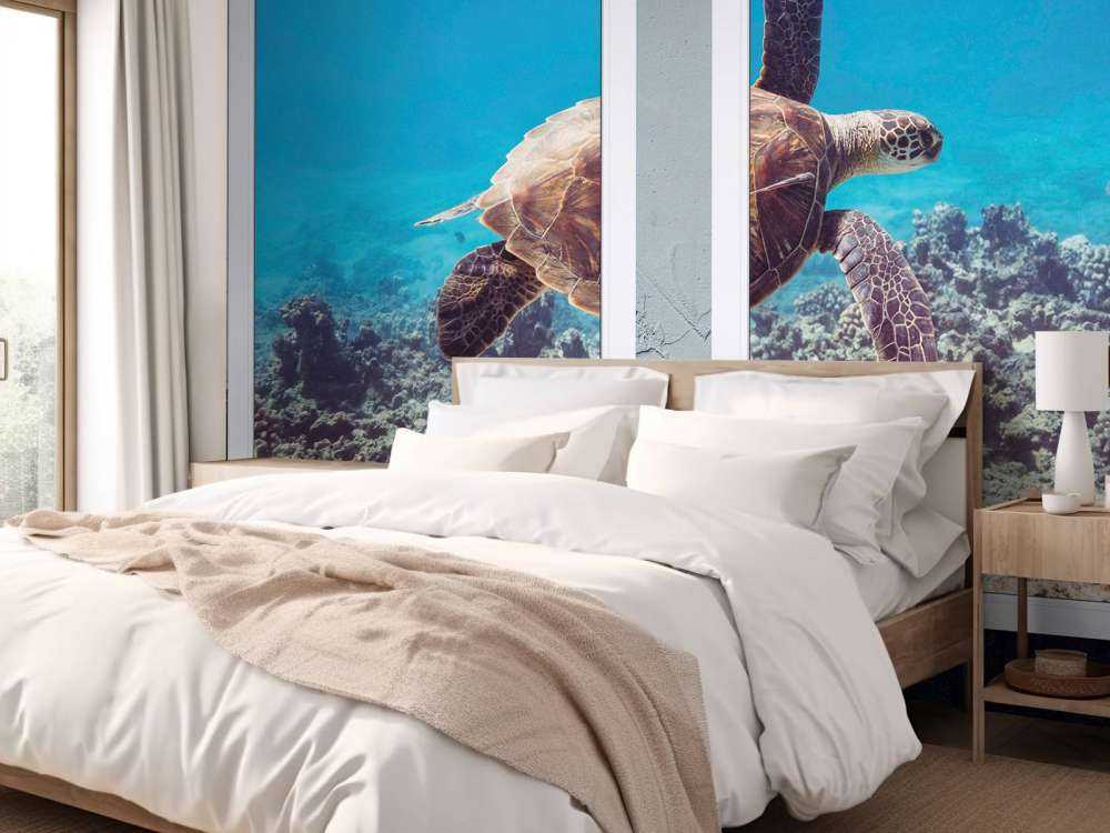 Zeeschildpad boven koraalrif