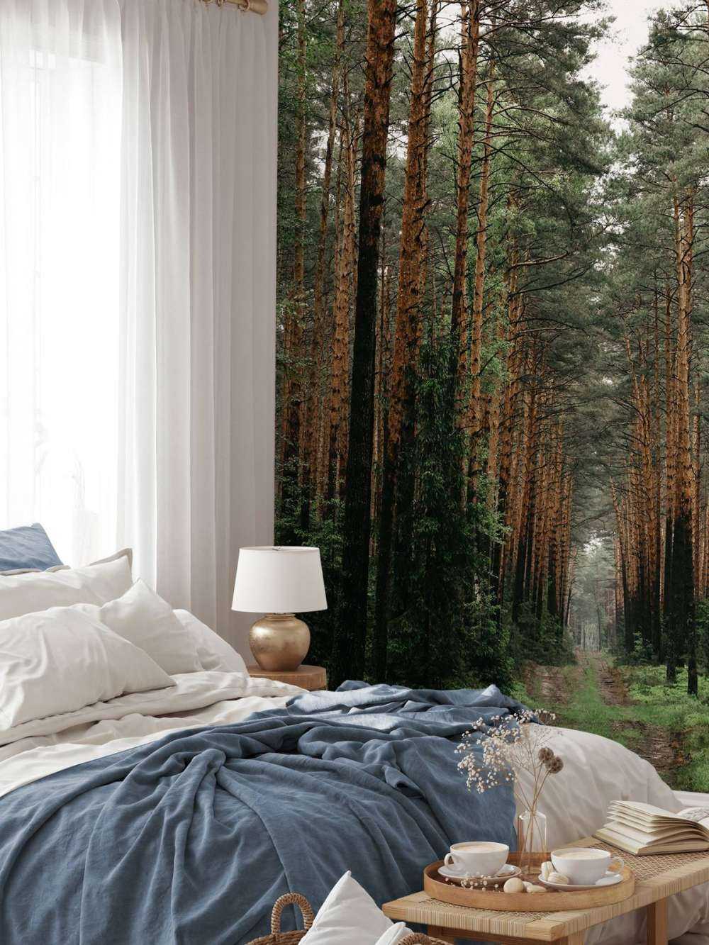 Symmetrie van het Woud