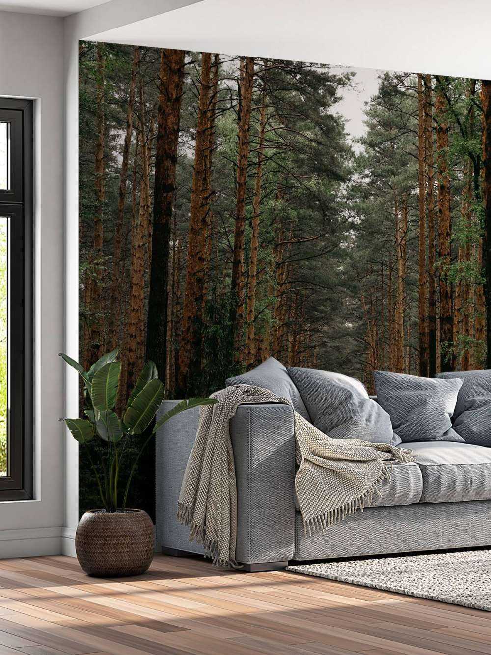 Symmetrie van het Woud