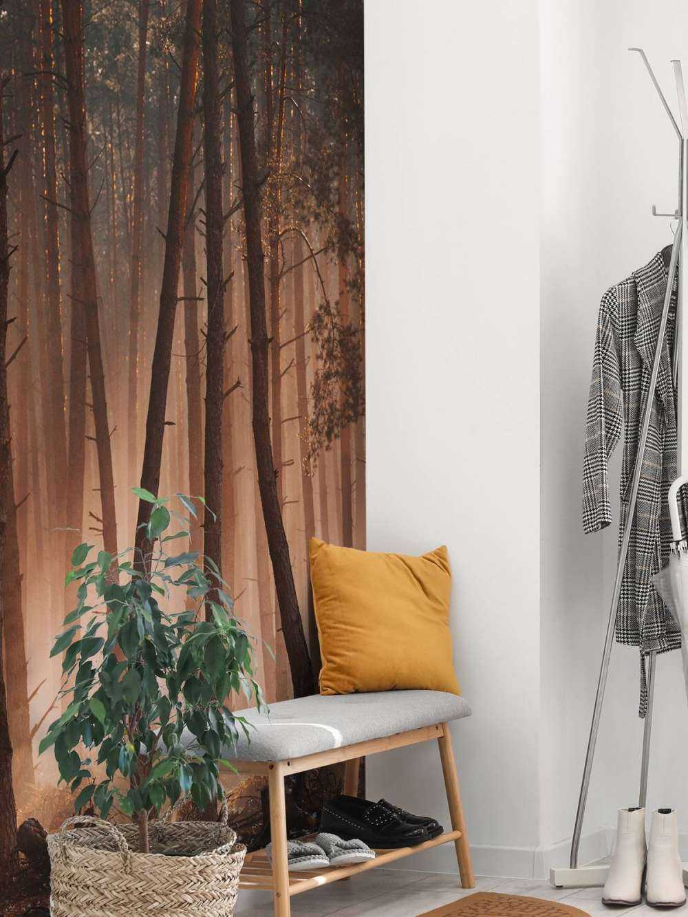 Lichtstralen door het Woud