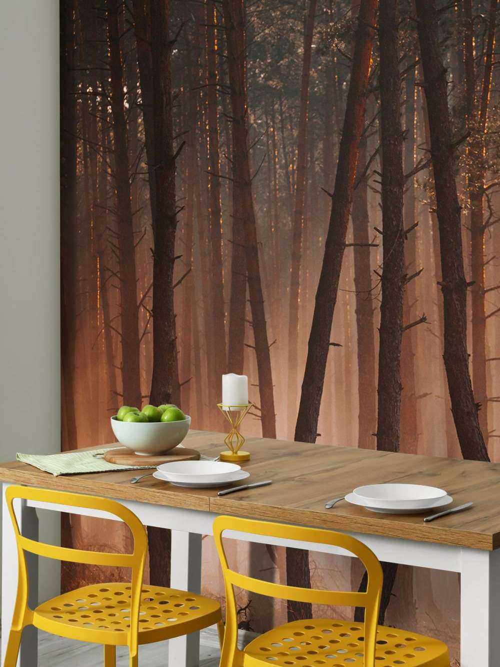 Lichtstralen door het Woud