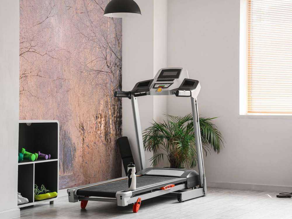 Bomenrij in de Wintermist