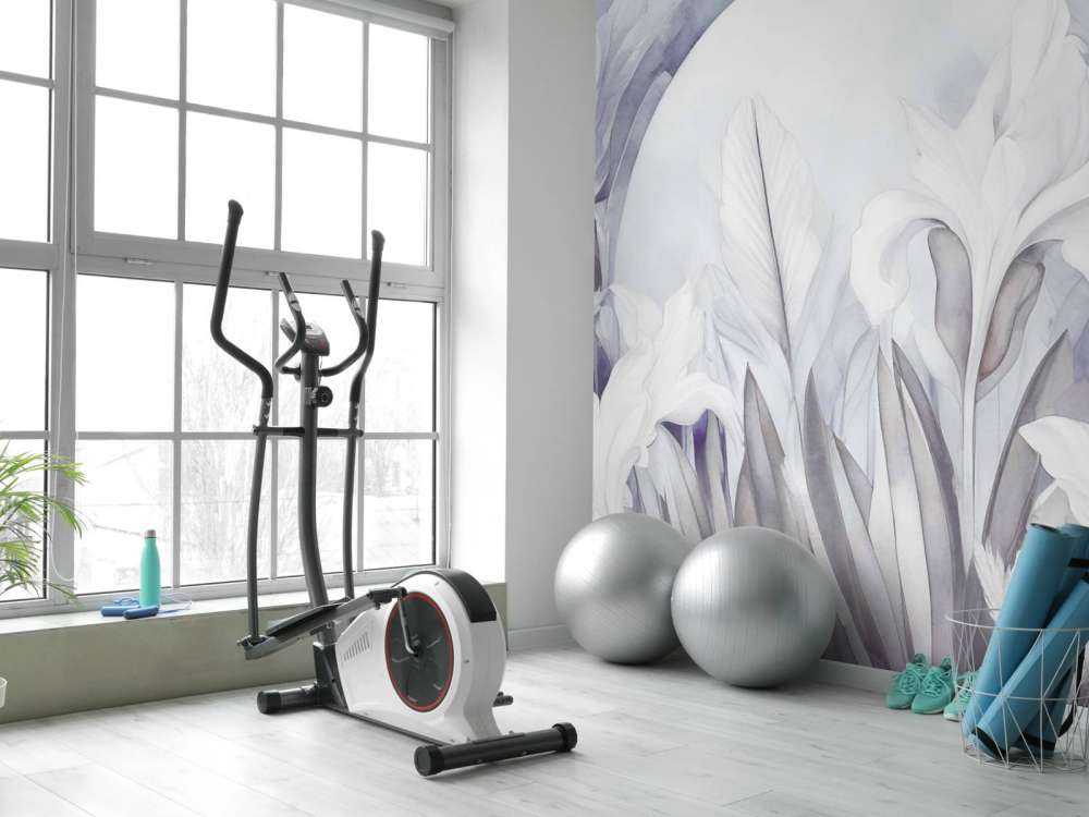 Irises at Sunrise Purple