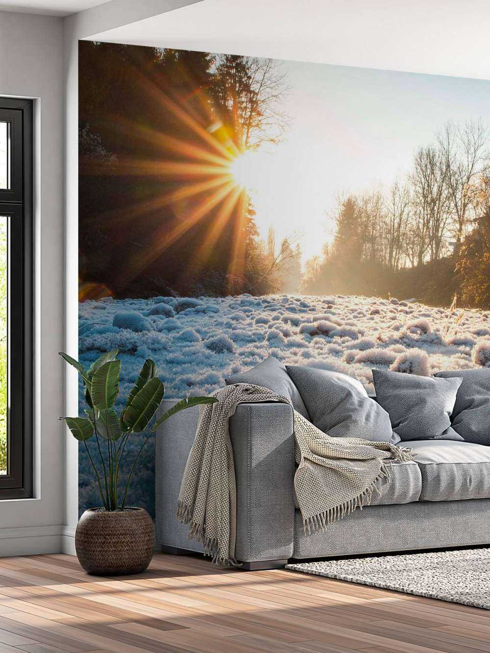 Ijzige ochtend in winterbos