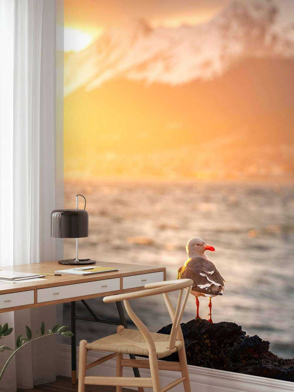 Meeuw bij zonsondergang aan fjord