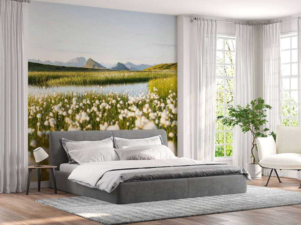 Zomerlicht over bloemrijk veenlandschap