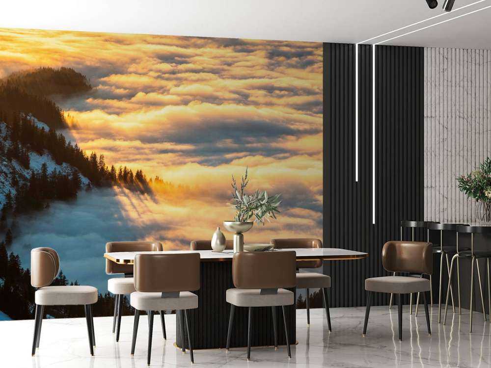 Zonlicht over besneeuwd bergwoud