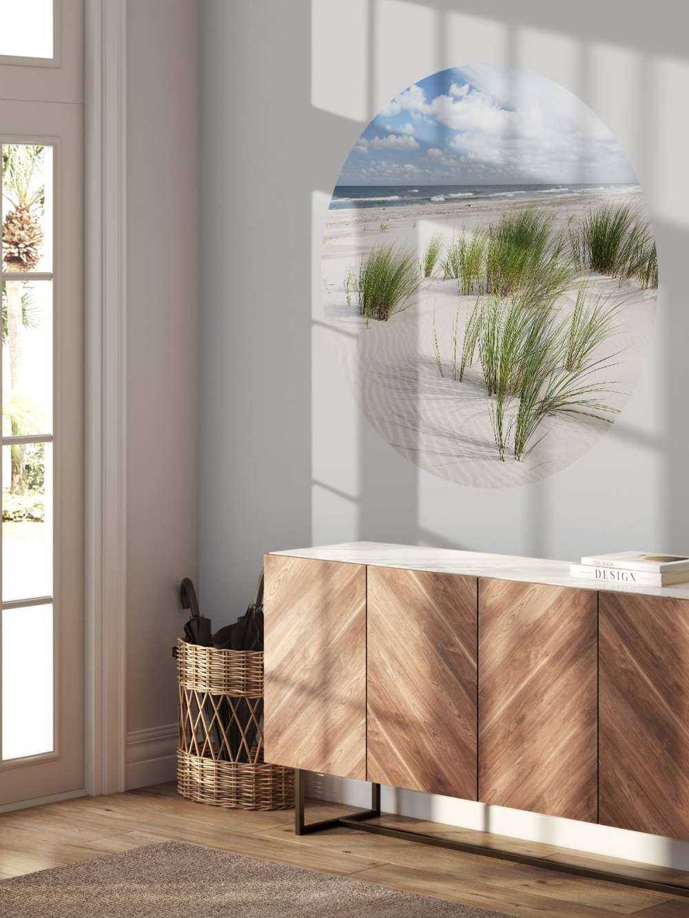 Strand met duinplanten