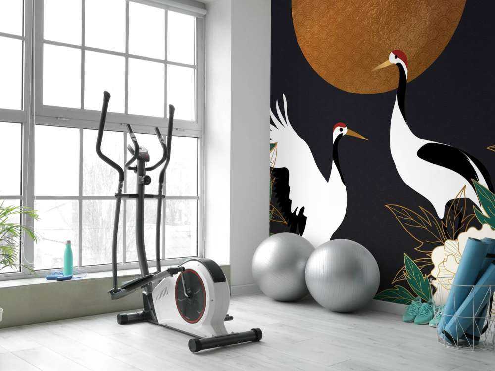 Kraanvogels tijdens de nacht