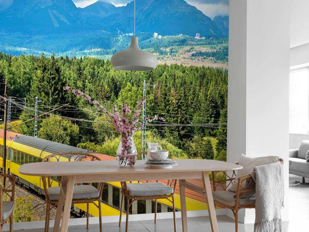 Trein door een bos in Slowakije