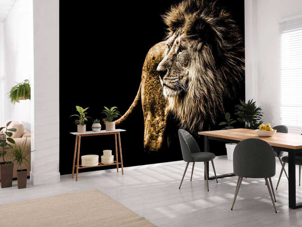 Harige leeuw met een zwarte achtergrond