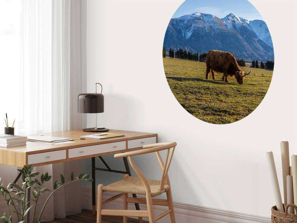 Hooglander met ingesneeuwde bergen