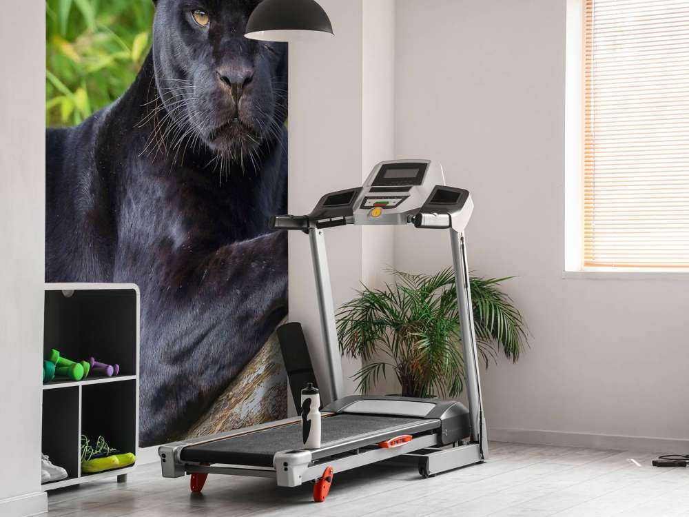 Zwarte panter op een boom