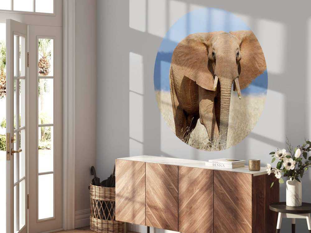 Grote olifant in hoog gras