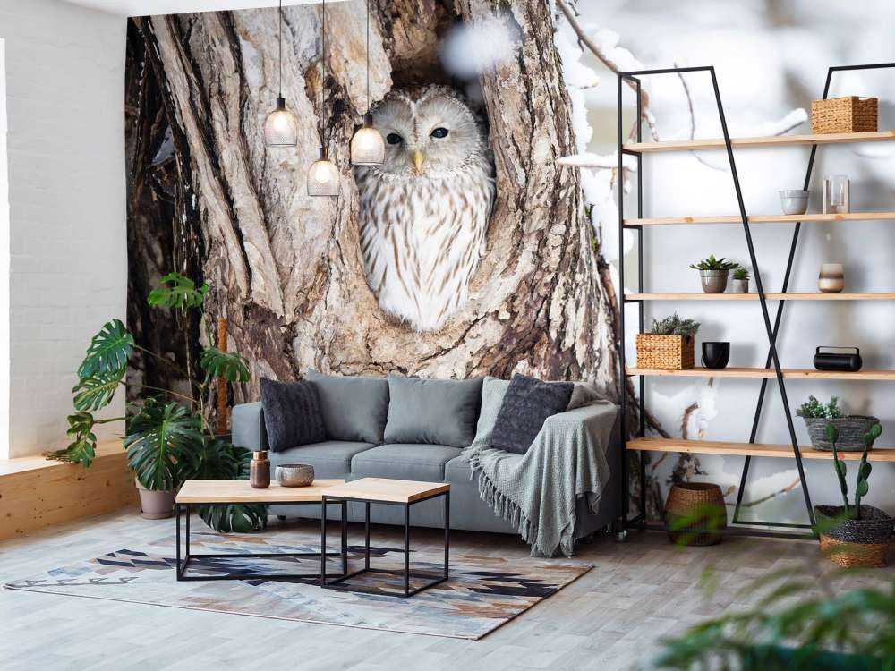 Witte uil in een holle boom