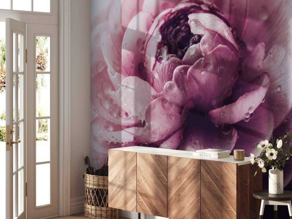 Roze boterbloem close-up