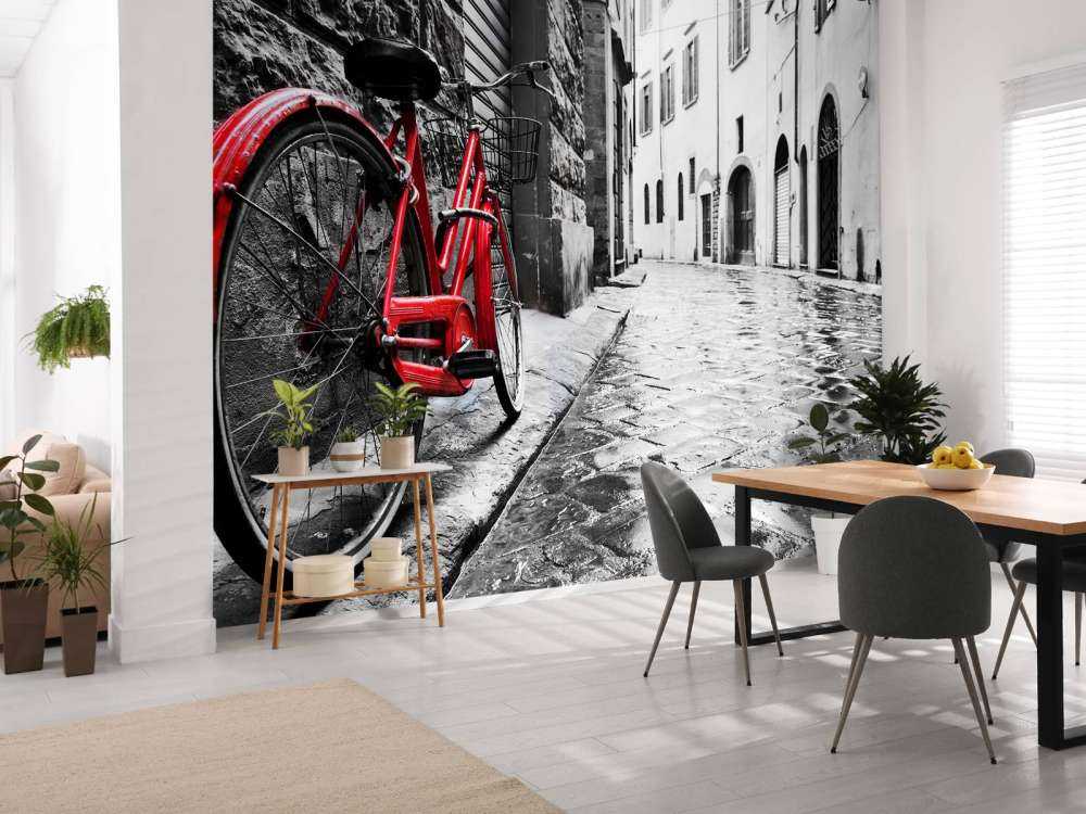 Rode fiets in een zwart-witte straat