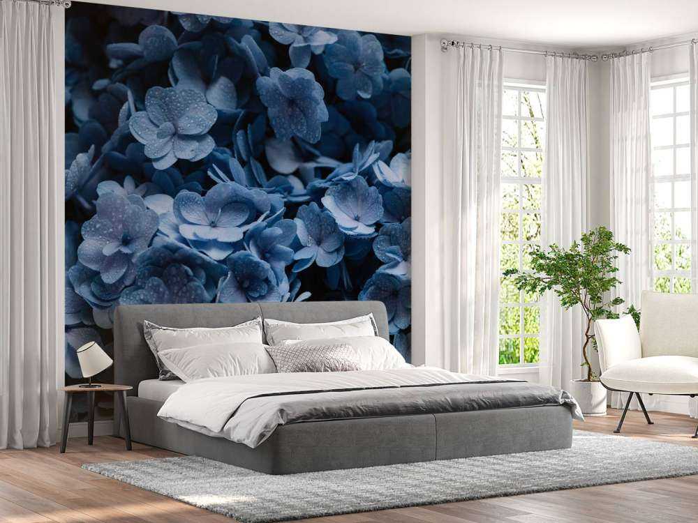 Close-up hortensia's