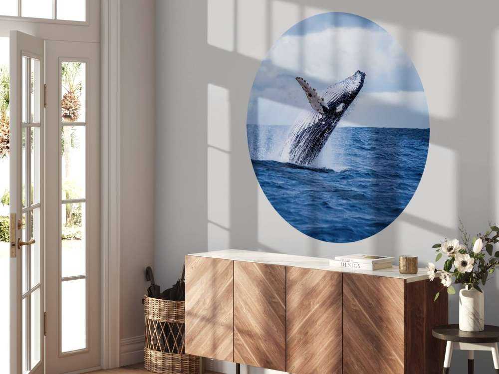 Springende walvis