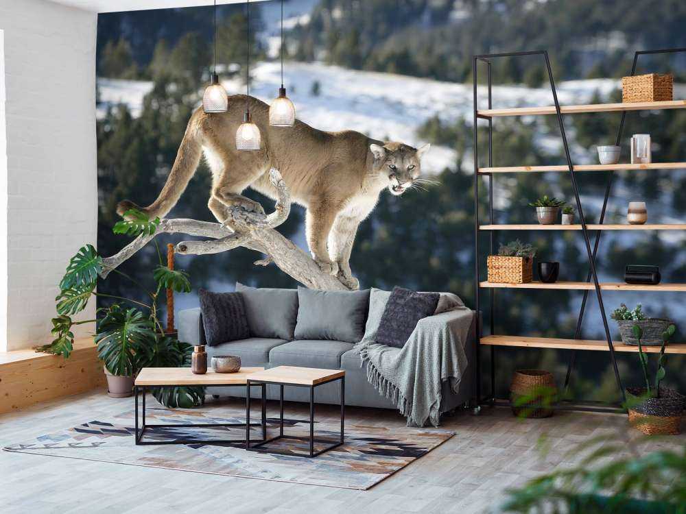 Bergleeuw op een dode boom