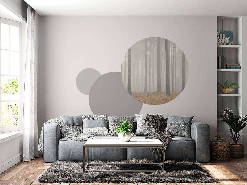 Mistig mysterieus bos