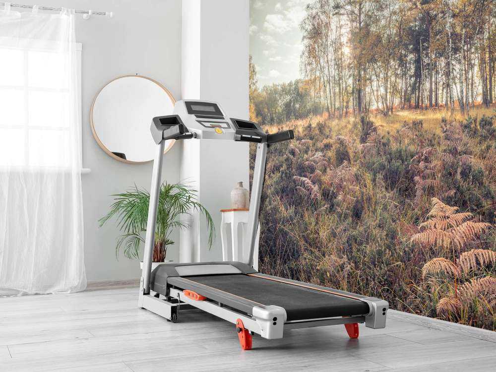 Bos tijdens de ochtend