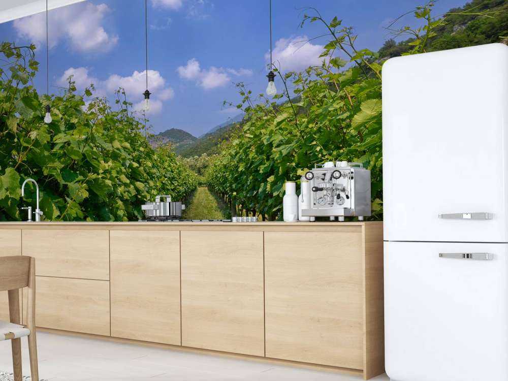 Wijngaard in Italië