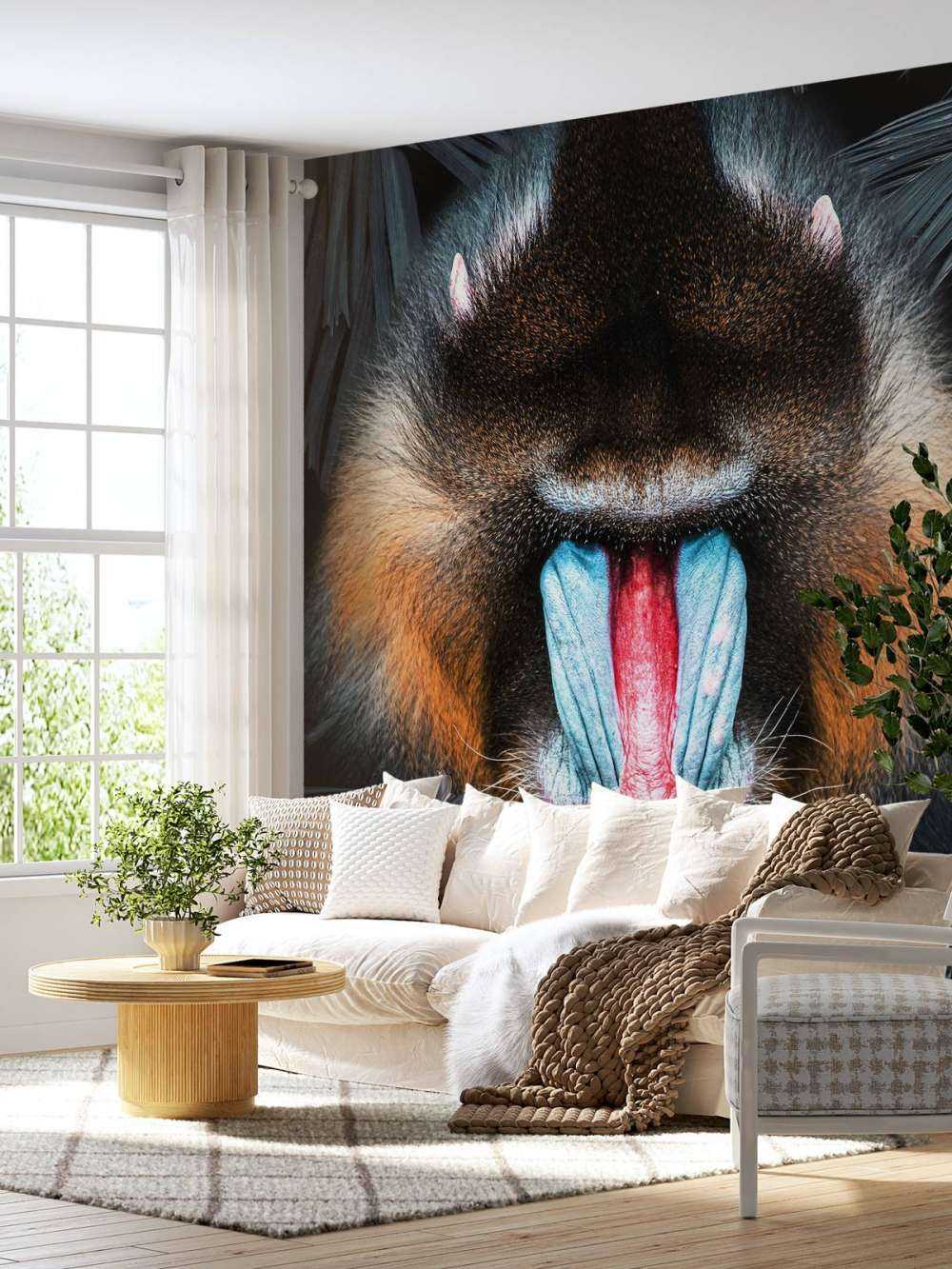 Mandrill Portret