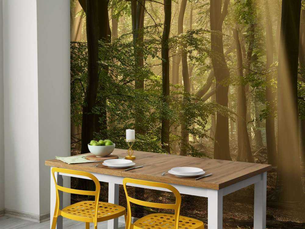 Oud bos met zonneharpen