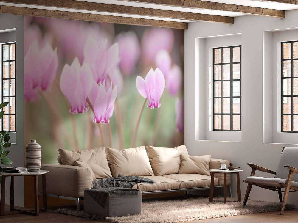 Mooie klimop bloemen