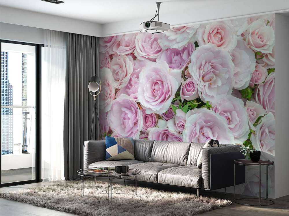 Kleurrijke witte en roze rozen