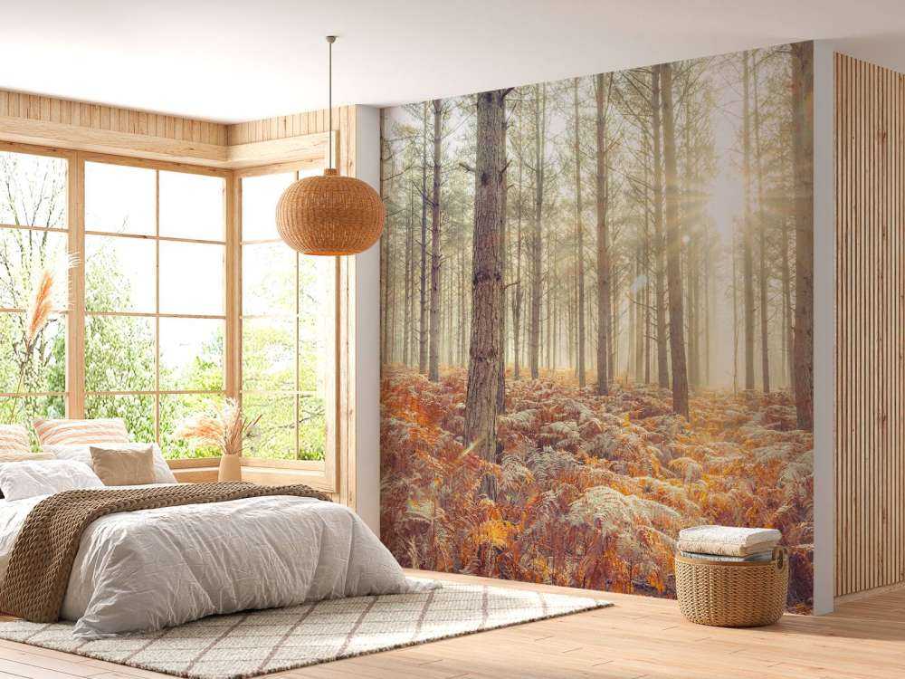 Zonnestralen door de koude bomen