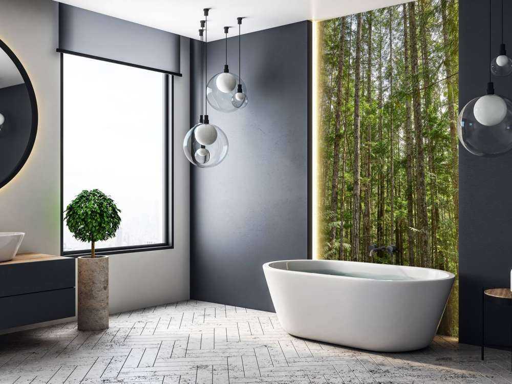 Dunne bomen in het bos