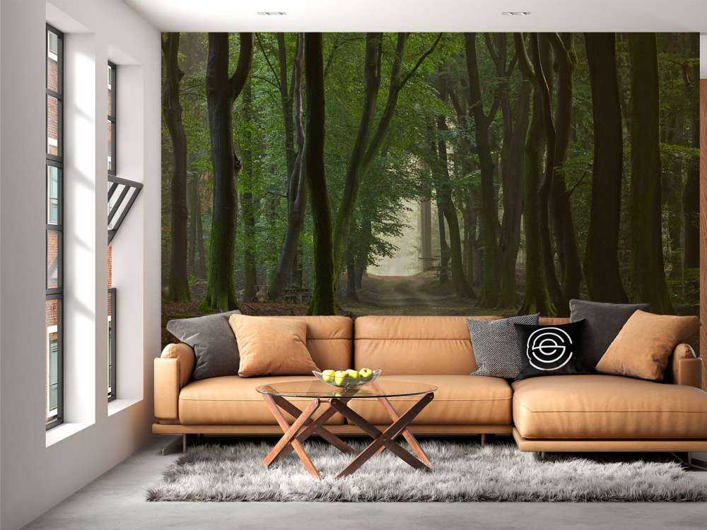 Zandpad in het bos