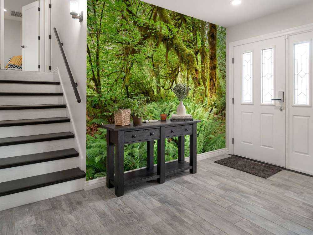 Varens in een oud bos