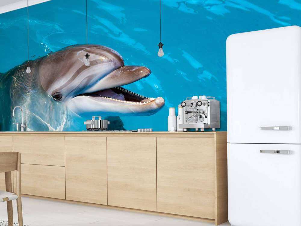 Vriendelijke dolfijn