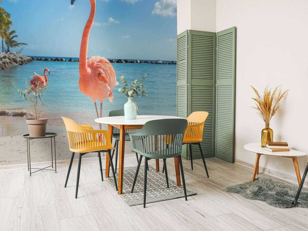 Flamingo op het strand