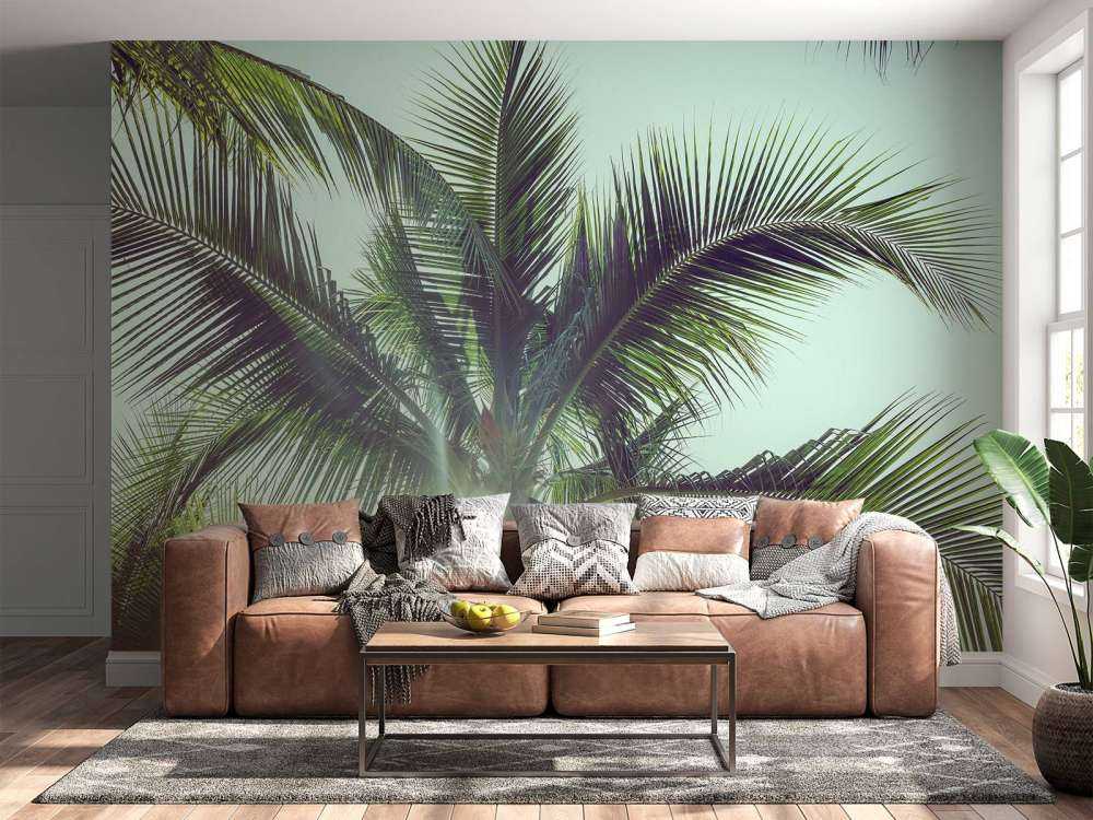 Palmbomen in de zon