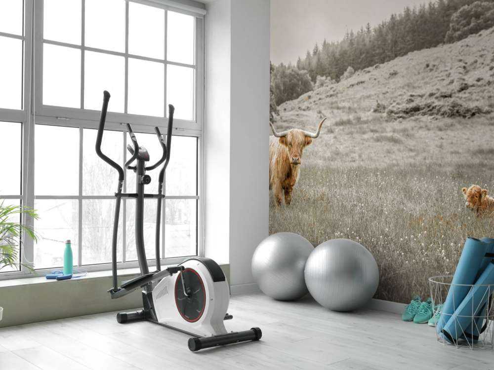 Schotse hooglander met kalf