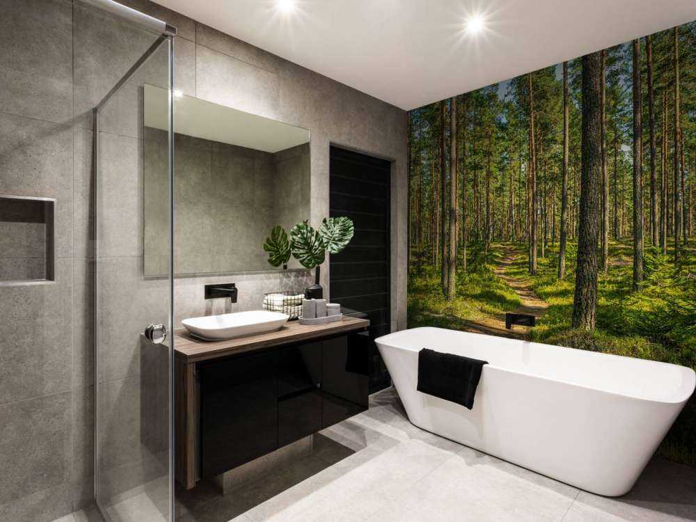 Wandelpad in dennenbos