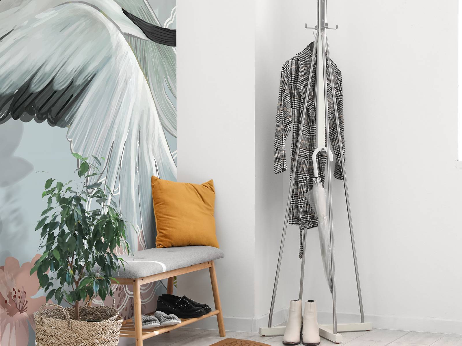 Elegante kraanvogel