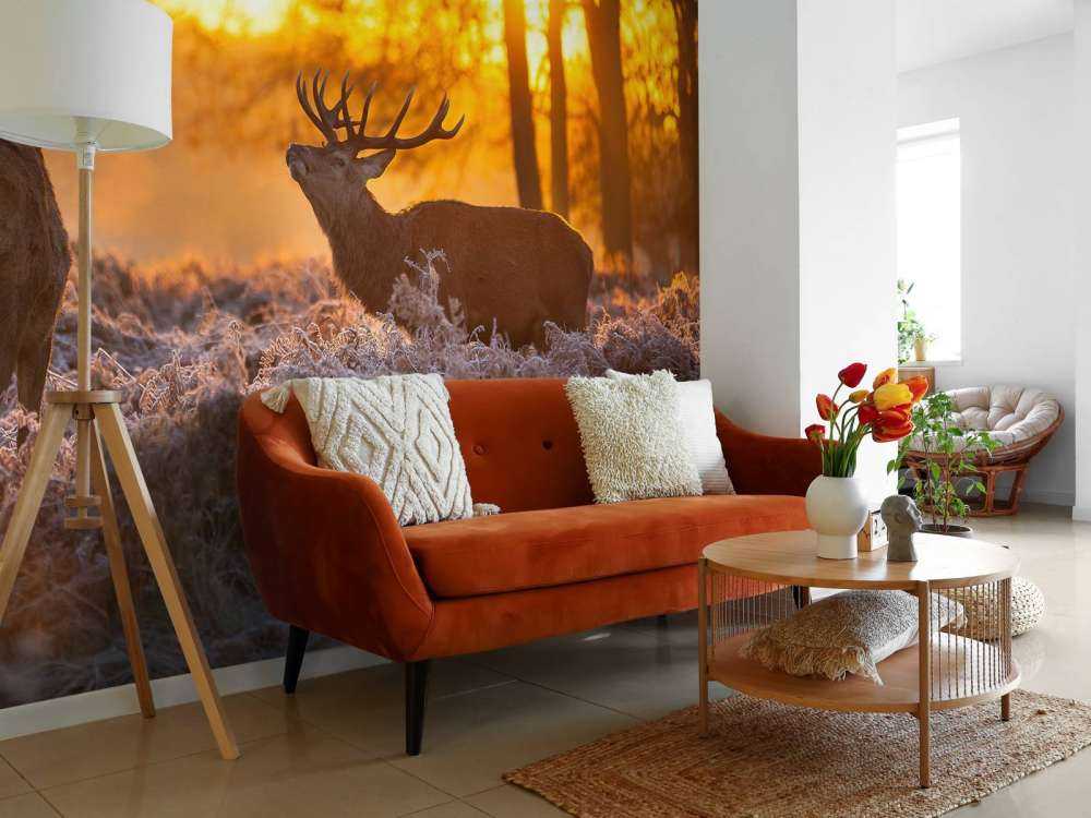 Herten bij zonsondergang