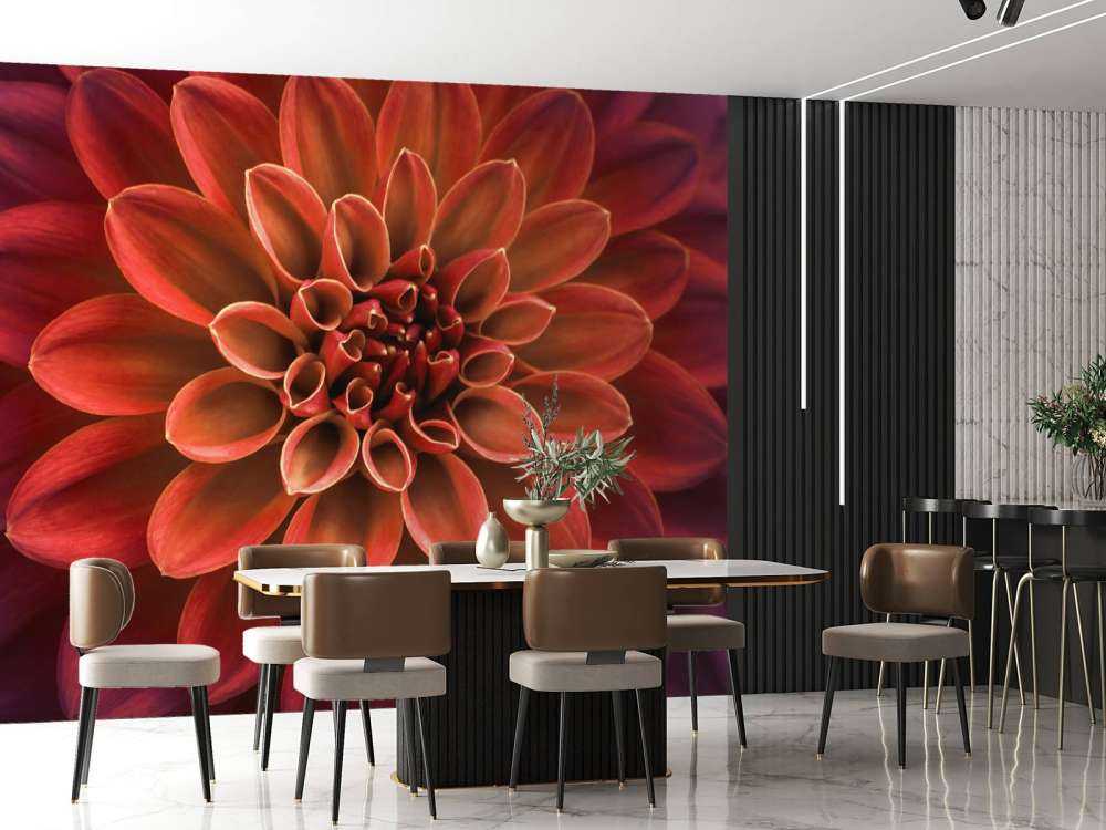 Gekleurde dahlia