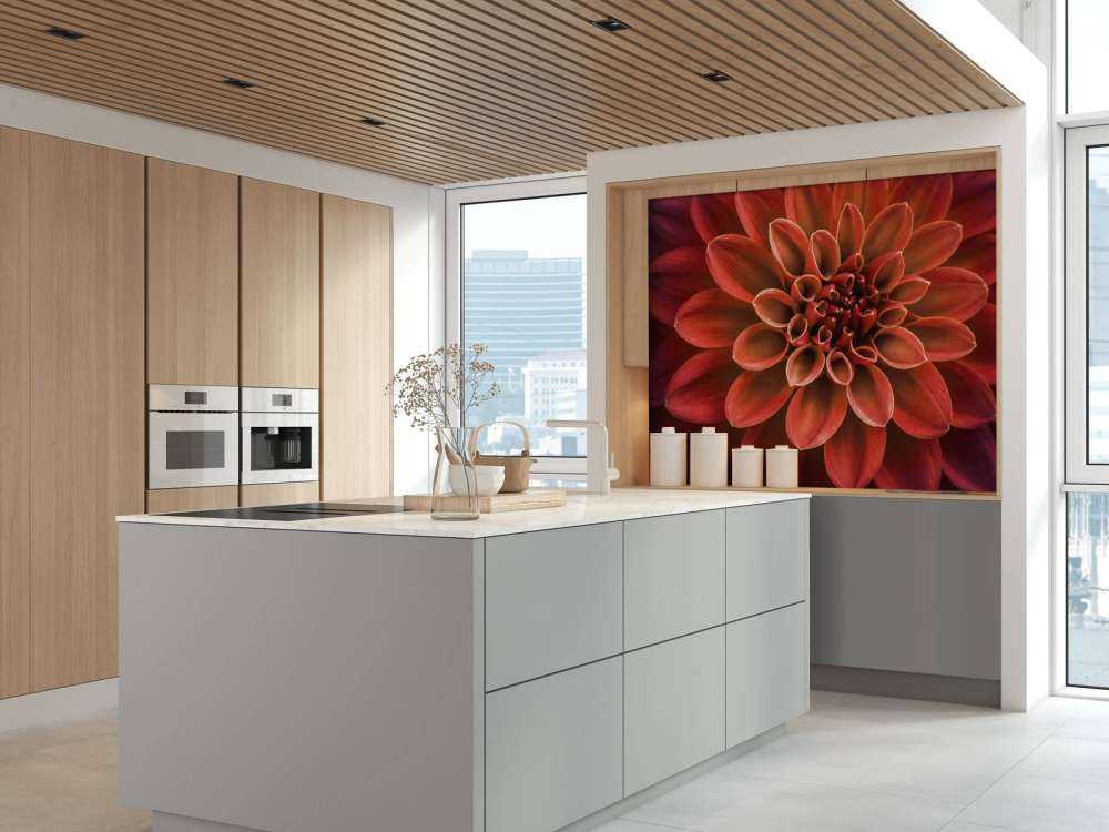 Gekleurde dahlia