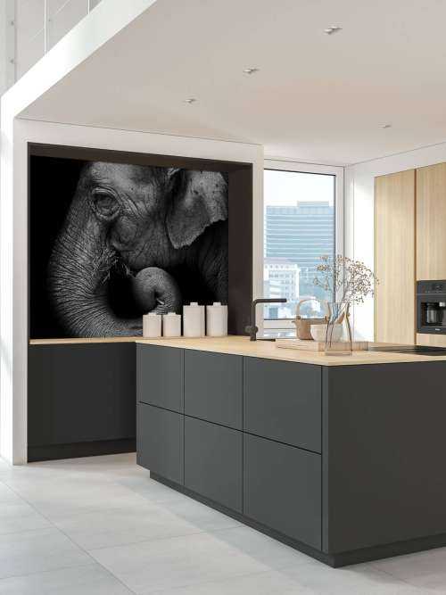 Olifant portret