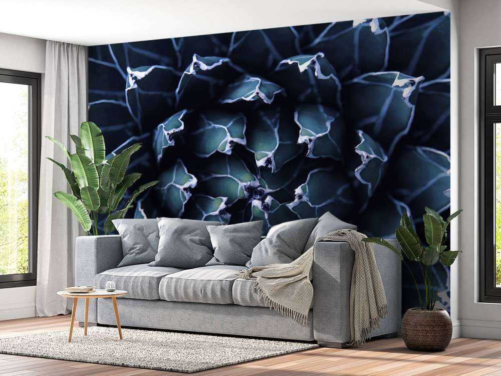 Donkerblauwe vetplant