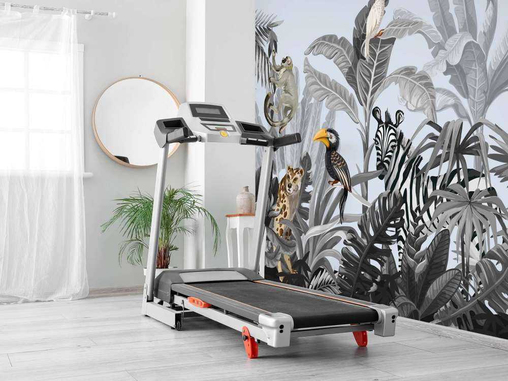 Jungle vol dieren